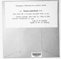 Image Associated With the Occurence